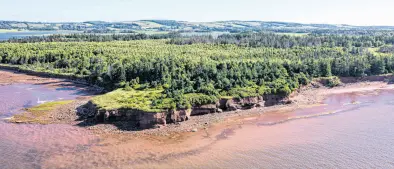  ?? ?? Island Nature Trust’s properties, such as the Crown Point Wji’kijek Natural Area in Alexandra, P.E.I., contain a treasure trove of ecosystem services that shield the Island from extreme weather events. PHOTO CREDIT: Island Nature Trust