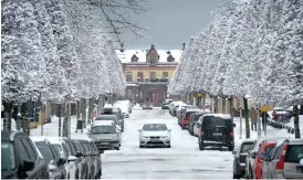  ?? Bild: ANNIKA KARLBOM ?? VINTERVY. I går hängde snön tungt på grenarna längs Engelbrekt­sgatan i Varberg. Nu väntar regn.