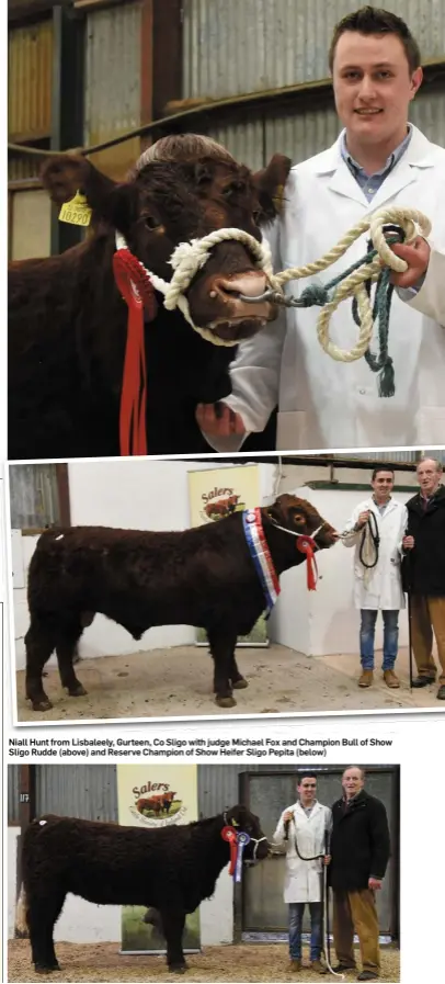  ??  ?? Niall Hunt from Lisbaleely, Gurteen, Co Sligo with judge Michael Fox and Champion Bull of Show Sligo Rudde (above) and Reserve Champion of Show Heifer Sligo Pepita (below)