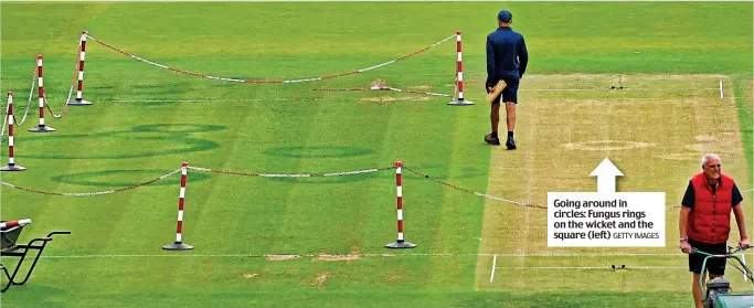  ?? GETTY IMAGES ?? Going around in circles: Fungus rings on the wicket and the square (left)