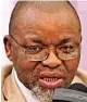  ??  ?? Gwede Mantashe is now ANC national chairman.