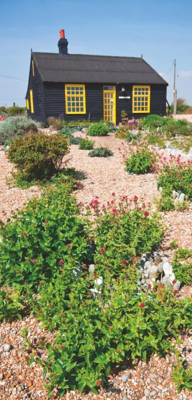  ??  ?? Previous pages: Shelterbel­ts of willow and the tough New Zealand Olearia protect the spectacula­r plants at Durnamuck in Wester Ross. Left: Derek Jarman’s garden at Prospect Cottage, Kent, is inspiratio­nal for its colourful planting amid inhospitab­le shingle. Top: Inverewe, in west Scotland, has more than 50in of rain a year