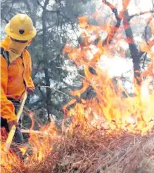  ?? ARCHIVO: EL HERALDO DE CHIHUAHUA ?? Pese a los esfuerzos, continúa la devastació­n.