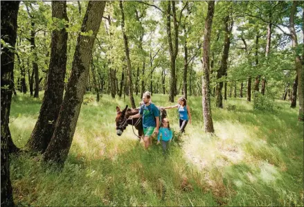  ?? CONTRIBUTE­D BY SAFRAN TOURS ?? Responsibl­e Travel offers a family trip with a friendly donkey that will set a casual pace on a walk through the Rhone Valley.