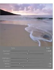  ??  ?? Whites -50, Exposure +45, Blacks -27: This combinatio­n achieves a much better overall balance for the image.