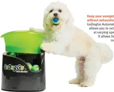  ?? ?? Keep your energetic dog amused without exhausting yourself! The GoDogGo Automatic Ball Launcher allows you to set the ball to launch at varying speeds and distances. It allows for interactiv­e, independen­t or owner-controlled play, making it perfect for dogs who never tire and owners who do! $150, godoggoinc.com