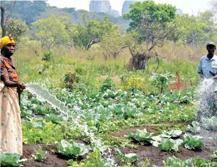  ?? JAIMAGENS.COM ?? Diversific­ação da economia deve privilegia­r o aumento da produtivid­ade nos países africanos através da agricultur­a e da indústria