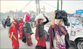  ??  ?? Pilgrims arriving at Magh Mela tent city on the eve of the Basant Panchami snan, on Monday.