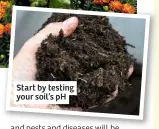  ??  ?? Start by testing your soil’s pH