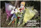  ??  ?? TRIBUTES Flowers where Adam died