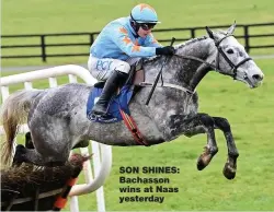  ??  ?? SON SHINES: Bachasson wins at Naas yesterday