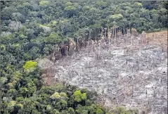  ??  ?? •• Fotografía de un terreno de selva deforestad­o, en el Parque Nacional Natural Tinigua, en Meta (Colombia).