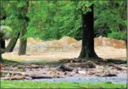  ?? PHOTO SUBMITTED BY LORI ROHRBACH ?? An overflowin­g Hay Creek floods Rustic Park in Birdsboro on Monday, Aug. 13.