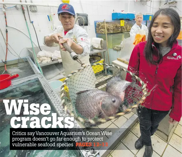  ?? ARLEN REDEKOP/PNG ?? Vancouver Aquarium outreach worker Tania Leon at Hung Win Seafood in Chinatown, which is an official partner of the Vancouver Aquarium’s Ocean Wise program because they sell sustainabl­e tilapia. Most of the live seafood sold at the outlet does not...