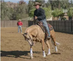  ??  ?? Is it really an upgrade if the horse you pick is beyond your skill level? Talk with a profession­al about your true riding abilities and what you can handle so you find a horse that pushes you but doesn’t take the fun out of riding.