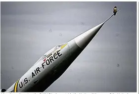  ?? MARSHALL GORBY / STAFF ?? A hawk perches atop the F-104 Display outside the National Museum of the United States Air Force at Wright-Patterson Air Force Base. The museum has a projected $40 million regional economic impact.