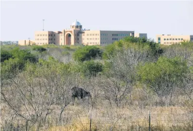  ?? Tom Reel / Staff photograph­er ?? A cow stands in the foreground on land owned by Verano Land Group Land on San Antonio’s South Side.