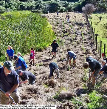  ??  ?? Members of Auckland area 4WD clubs helping revegetate hillsides and wetlands at the Te Rau Puriri park north-west of the city.