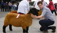  ??  ?? Donnacha Lynch with the Female Champion at the 2018 National Show, exhibited by Philip Lynch, Sea Bank, Castlebell­ingham, Co Louthat the Suffolk National Championsh­ips in Kilkenny, he has secured Suffolk Champion at Tullamore, Dundalk, Athlone and Oldcastle shows.Long-establishe­d Suffolk breeders will be on hand to advise, discuss and encourage all farmers in the merits of the Suffolk.