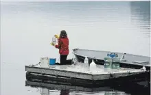  ?? SUPPLIED PHOTO ?? Isabella O'Brien collects water samples at Soyers Lake in the Haliburton area. “It was a ton of work, but a lot of fun,” she says.