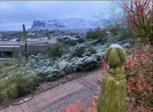  ?? Kevin Nunn/Associated Press ?? Snow covers shrubs and the top of a cactus, Thursday near Phoenix, Ariz. A powerful weather system put a rare dusting of snow in the area.