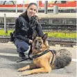  ?? FOTO: BUNDESPOLI­ZEI ?? Schäferhün­din „Stella“ist jetzt in guten Händen.