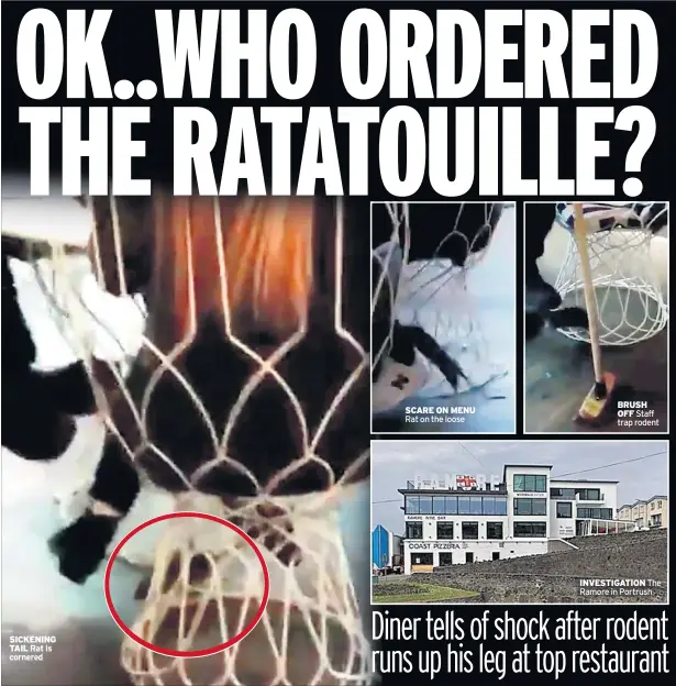  ??  ?? SICKENING TAIL Rat is cornered SCARE ON MENU Rat on the loose BRUSH OFF Staff trap rodent INVESTIGAT­ION The Ramore in Portrush