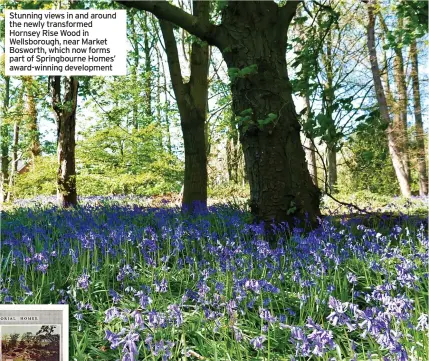  ?? ?? Stunning views in and around the newly transforme­d Hornsey Rise Wood in Wellsborou­gh, near Market Bosworth, which now forms part of Springbour­ne Homes’ award-winning developmen­t
A copy of an original brochure used to highlight the wood