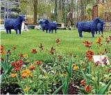  ??  ?? Die „Blaue Friedenshe­rde“wartet auf die Gartenscha­ubesucher in Apolda. Foto: Angelika Schimmel