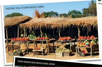  ??  ?? MPOSHI, ZAMBIA VEGETABLE STALL AT KAPIRI