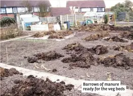  ??  ?? Barrows of manure ready for the veg beds