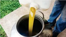  ??  ?? Freshly made olive oil being poured into a stainless steal container.