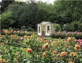  ?? Pictures: GETTY; PA ?? Perennial favourite...Queen, far left, is opening up her 39-acre gardens at Buckingham Palace this summer, left