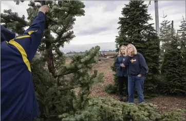  ?? LIPO CHING — STAFF PHOTOGRAPH­ER ?? Jenefer Curtis, right, and her daughter Eleanor Curtis of San Jose consider a Christmas tree at Territo’s Christmas Trees in San Jose on Wednesday.