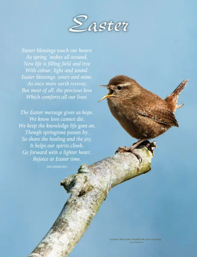  ?? LISA GEOGHEGAN ?? A perky little wren heralds the joys of spring.