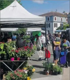  ??  ?? Les fleurs, toujours très convoitées!