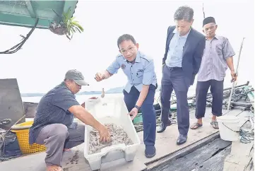  ??  ?? Irmohizam (second left) picks up fresh prawns brought in by local fishermen during a visit to LKIM Tanjung Bako Fishery Complex. — Photos by Chimon Upon