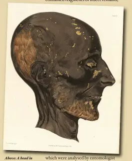  ??  ?? Above: A head in Pettigrew’s History of Egyptian
Mummies (1834); Faraday reported on crystals on the skin of a mummy