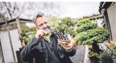  ?? RP-FOTO: ANDREAS BRETZ ?? Werner Busch führt Besucher durch die Bonsai-Gärtnerei und bietet auch Online-Kurse an.