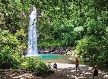  ?? (Steve Haggerty/Colorworld/TNS) ?? TAVORO WATERFALLS in Bouma National Heritage Park is one of Fiji’s top attraction­s.