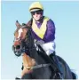  ??  ?? TALENT Willie Mullins can get win with Whiskey Sour