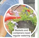  ??  ?? Baskets and containers need regular watering