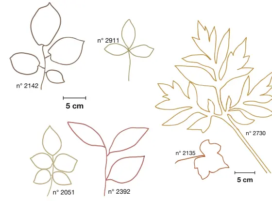  ??  ?? n° 2911 n° 2142 5 cm n° 2730 n° 2135 5 cm n° 2392 n° 2051