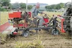  ??  ?? Maurice pilote la machine à arracher et ficeller