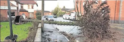  ??  ?? A tree fell across West Street in Earl Shilton Picture: Dr Simon Peval.