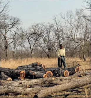  ??  ?? The Mhondoro Ngezi district in Zimbabwe has experience­d increased deforestat­ion as trees are cut down for making charcoal PHOTO: GETTY IMAGES