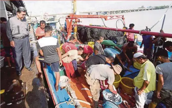  ?? PIC BY MOHD SYAFIQ RIDZUAN AMBAK ?? State Fisheries Department director Zawawi Ali (left) watching fishermen separating their catch at the Pulau Kambing Jetty in Kuala Terengganu yesterday.