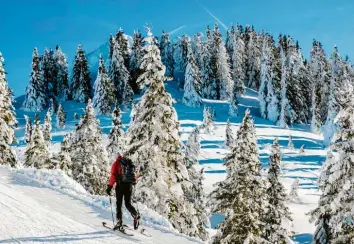 ?? Foto: Benedikt Siegert ?? Im Augenblick haben Winterspor­tler an vielen Orten in Bayern – wie auf unserem Bild am Tegelberg im Allgäu – beste Pisten- und Loipenbedi­ngungen.