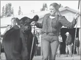  ?? ?? Hillary Sauder from Hodgeville was the senior division showmanshi­p champion at the Junior Stockman’s livestock show, Sept. 24.