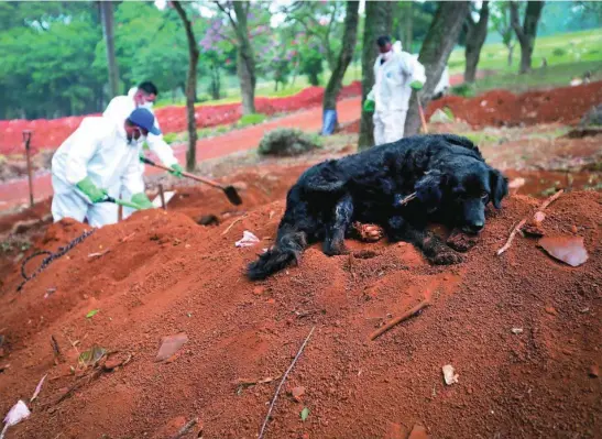  ?? EFE ?? Doce horas y 62 entierros. Un grupo de sepulturer­os trabajan en el cementerio Vila Formosa, en Sao Paulo